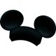 dvc rentals