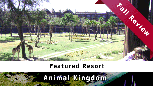 animal kingdom disney vacation club